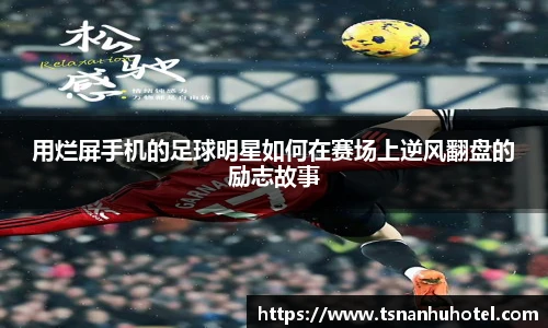 bevictor伟德官网